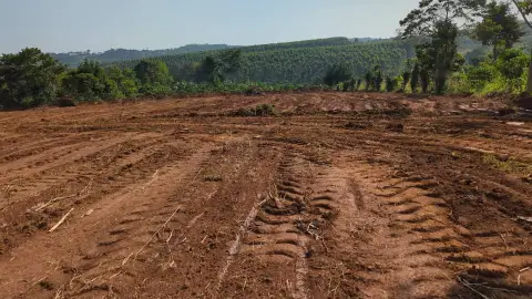Land at Bara Estate