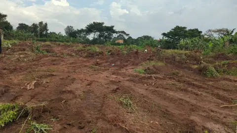 Land at Kwanza Estate
